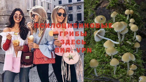 спиды Абдулино