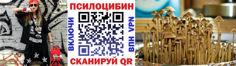 kraken сайт  Североморск  Псилоцибиновые грибы ЛСД  закладка 