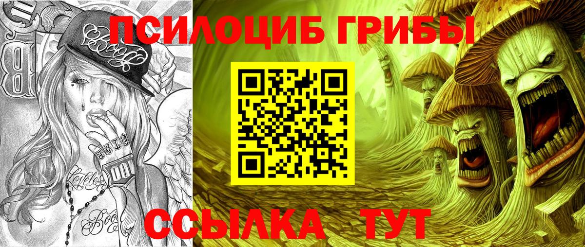 Галлюциногенные грибы Psilocybine cubensis Североморск